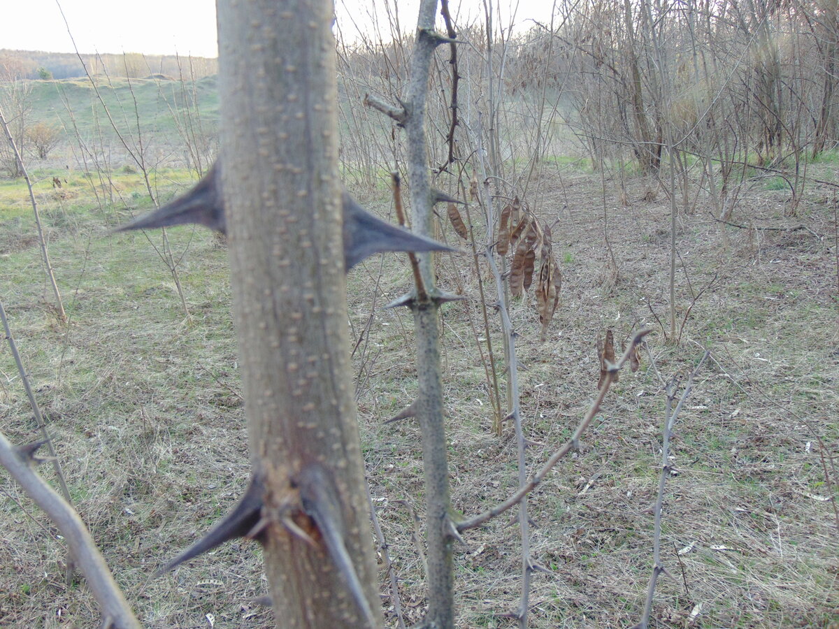 Фото автора канала