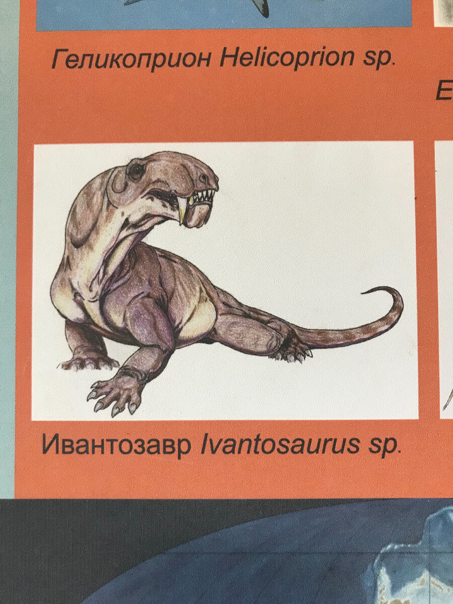 Вот это звероящер. Красавчик.