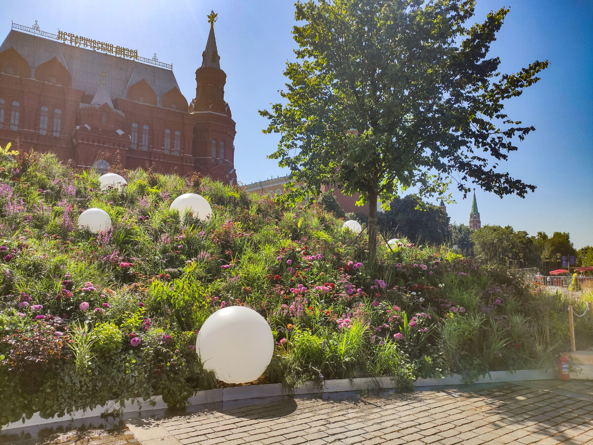 фестиваль цветов на манежной. ярмарка на манежной площади 2020. ярмарка на манежной площади 2023 москва. рождественская ярмарка на манежной площади. ярмарка на манежной площади 2023 москва.