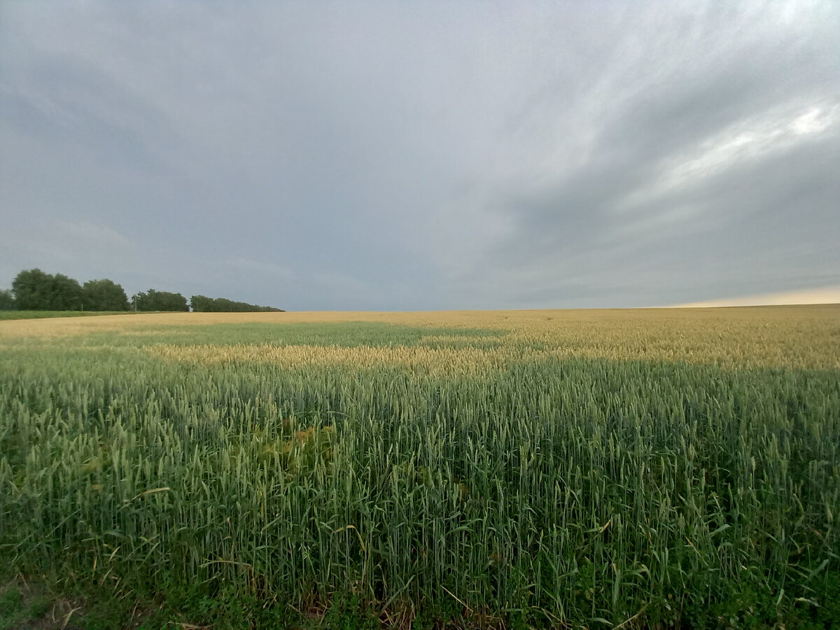 Один из первых дождливых вечеров месяца