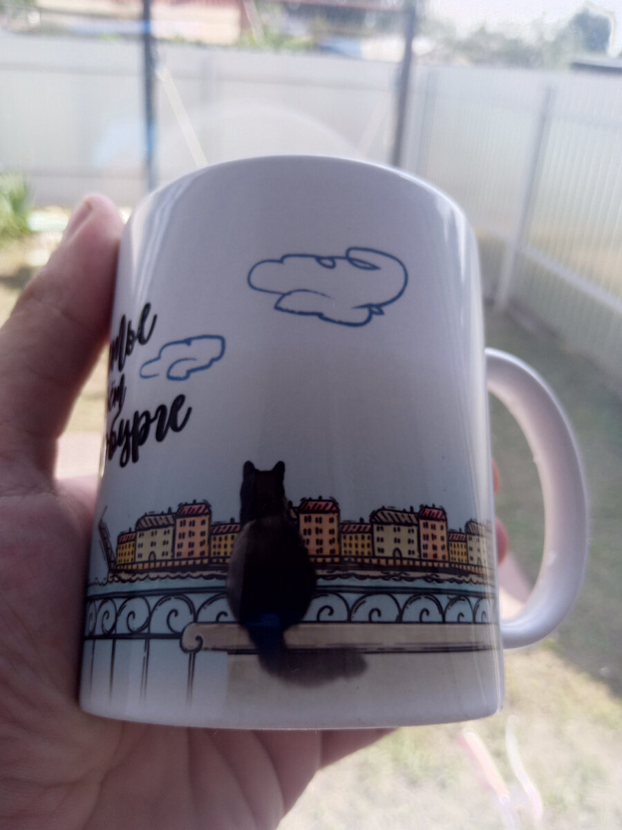 Петербургские виды из моего сельского окна