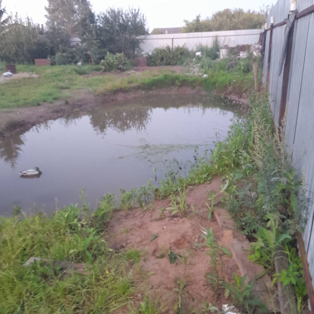 В Тверской области СК выясняет, кто виновен в беде с ребенком на воде