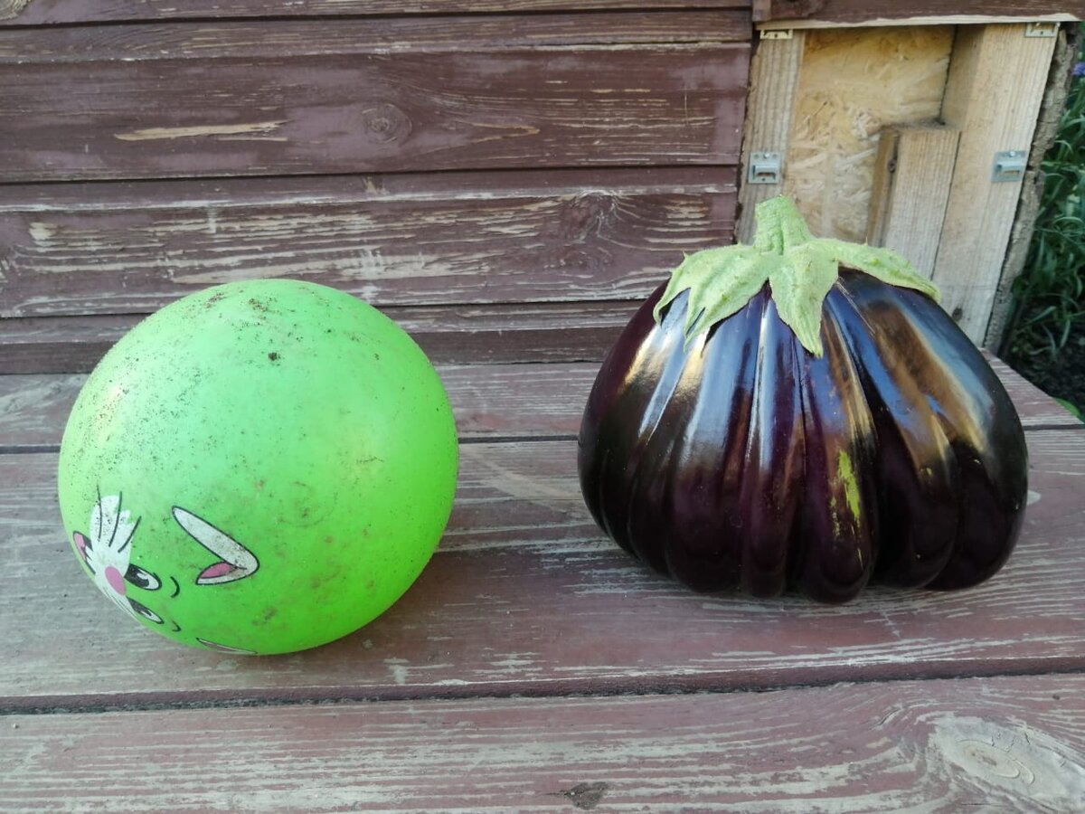 Сравнение с мячиком