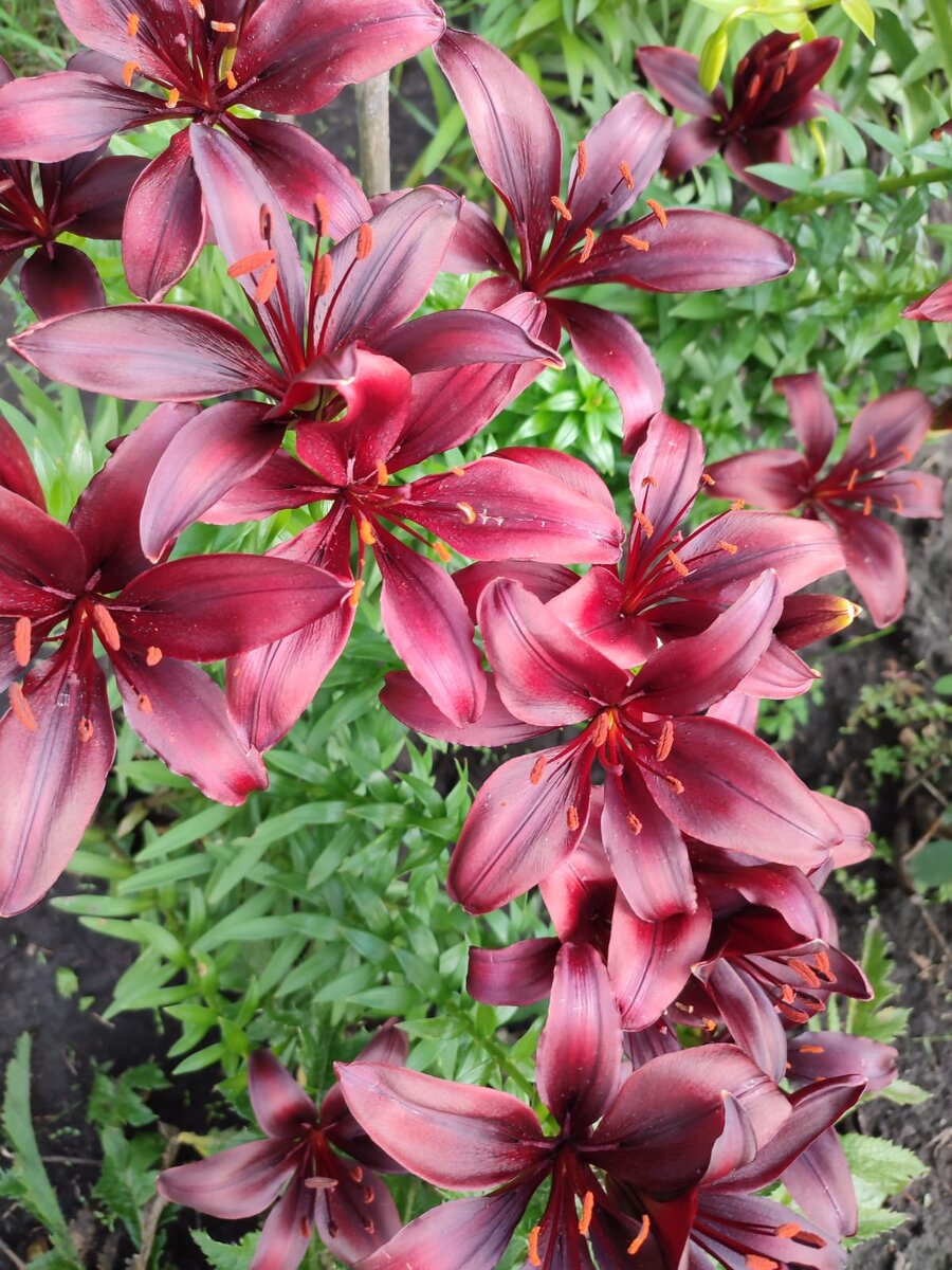 Фото  из личного архива. 