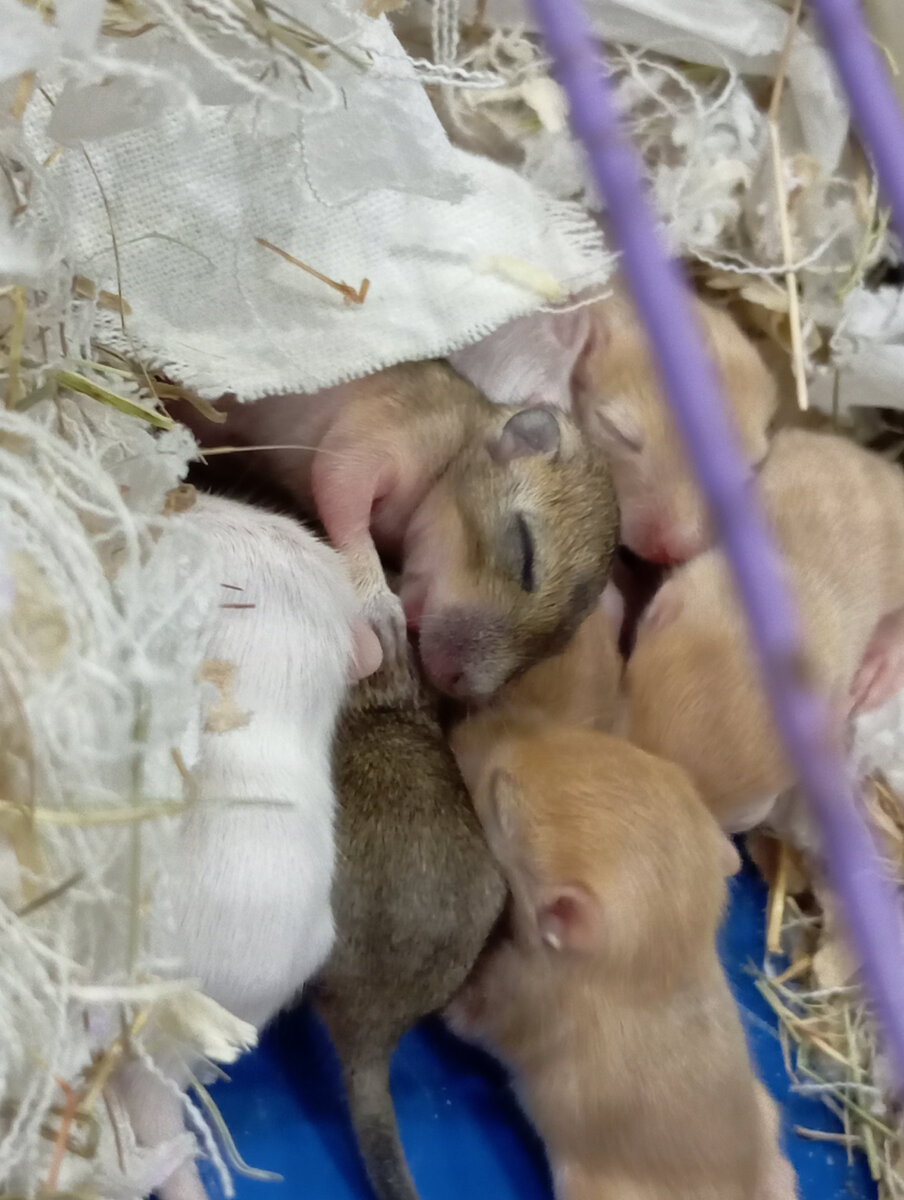 Начинают потихоньку открывать глазки