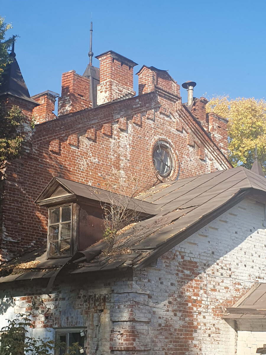 Фото Анны Санниковой.