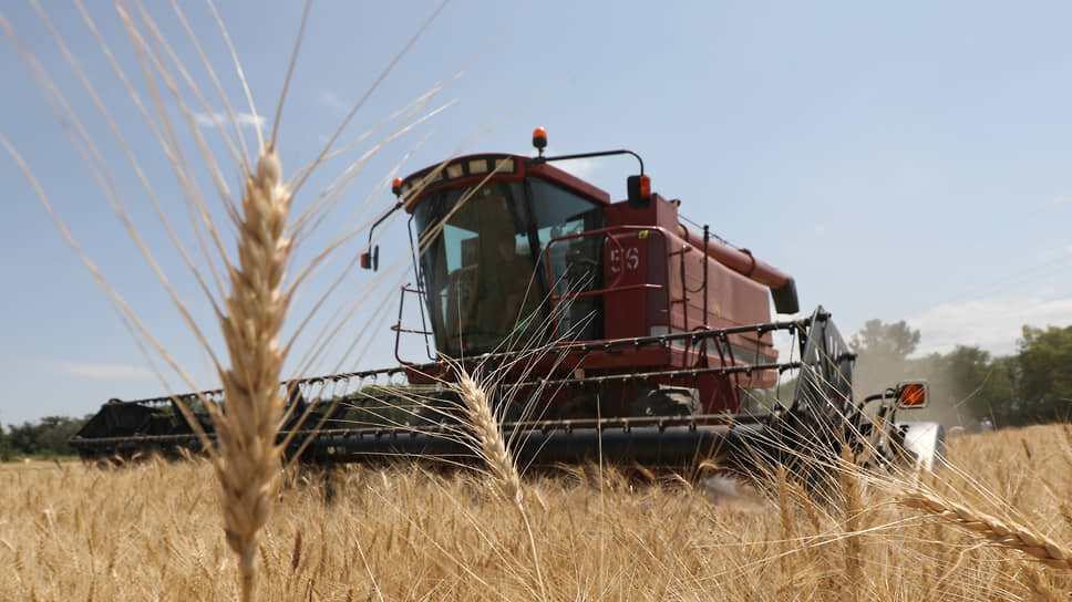    Фото: Pavel Mikheyev/File Photo / Reuters