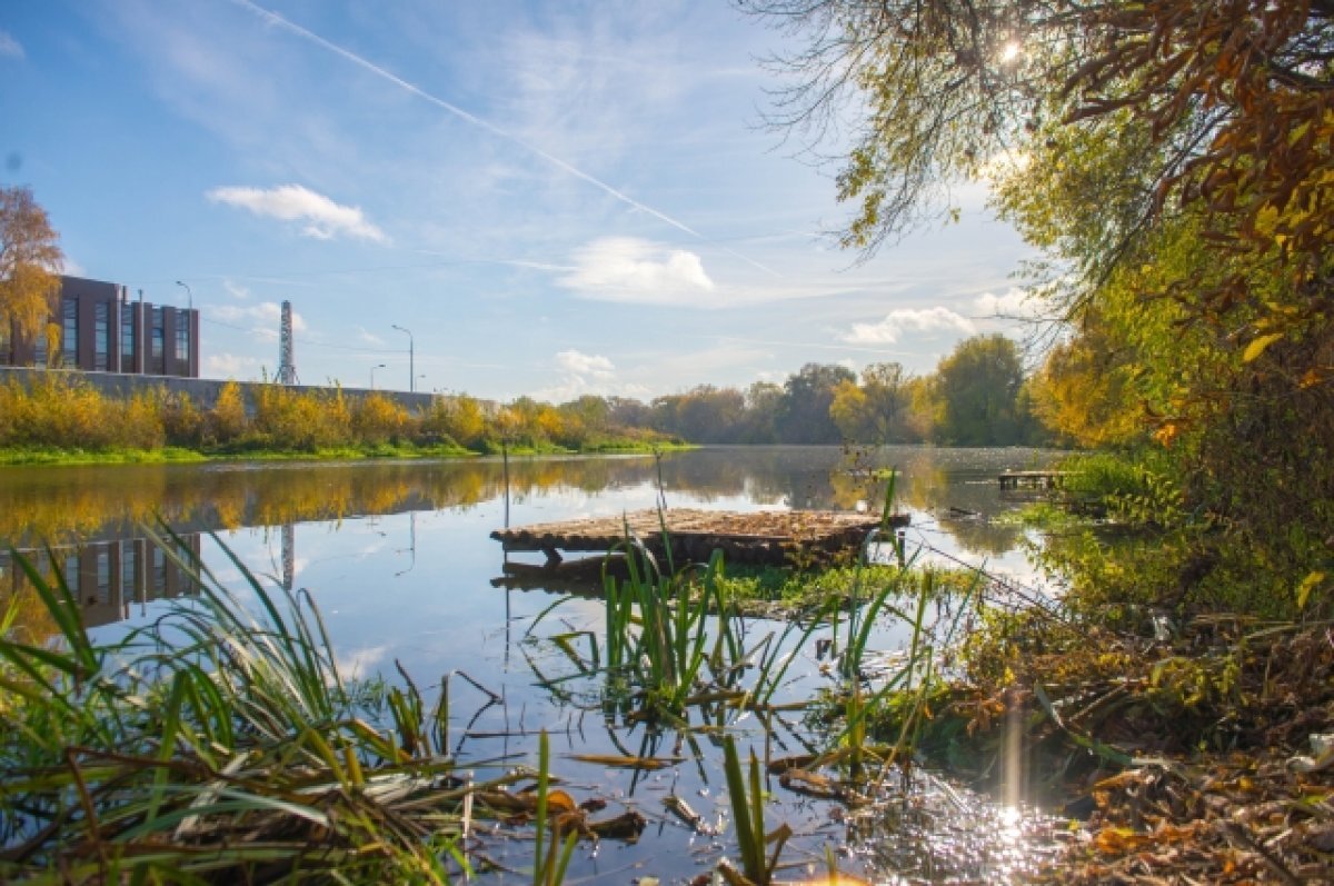    26 сентября в Туле прогнозируют переменную облачность и до +20