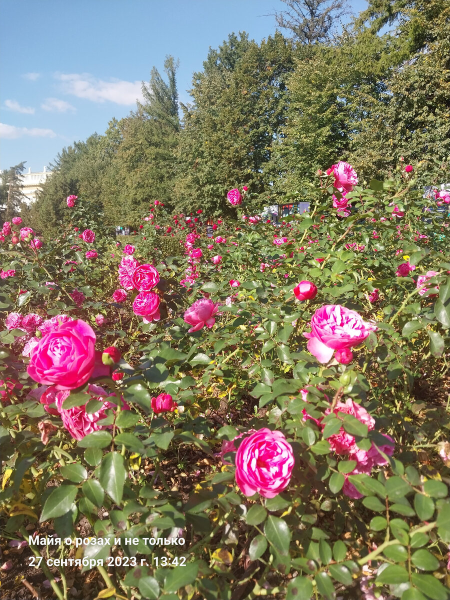 1.Леонардо да Винчи 