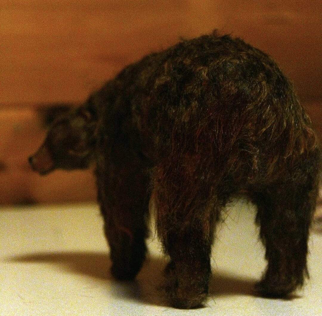 кукла и фото автора А.Суворова