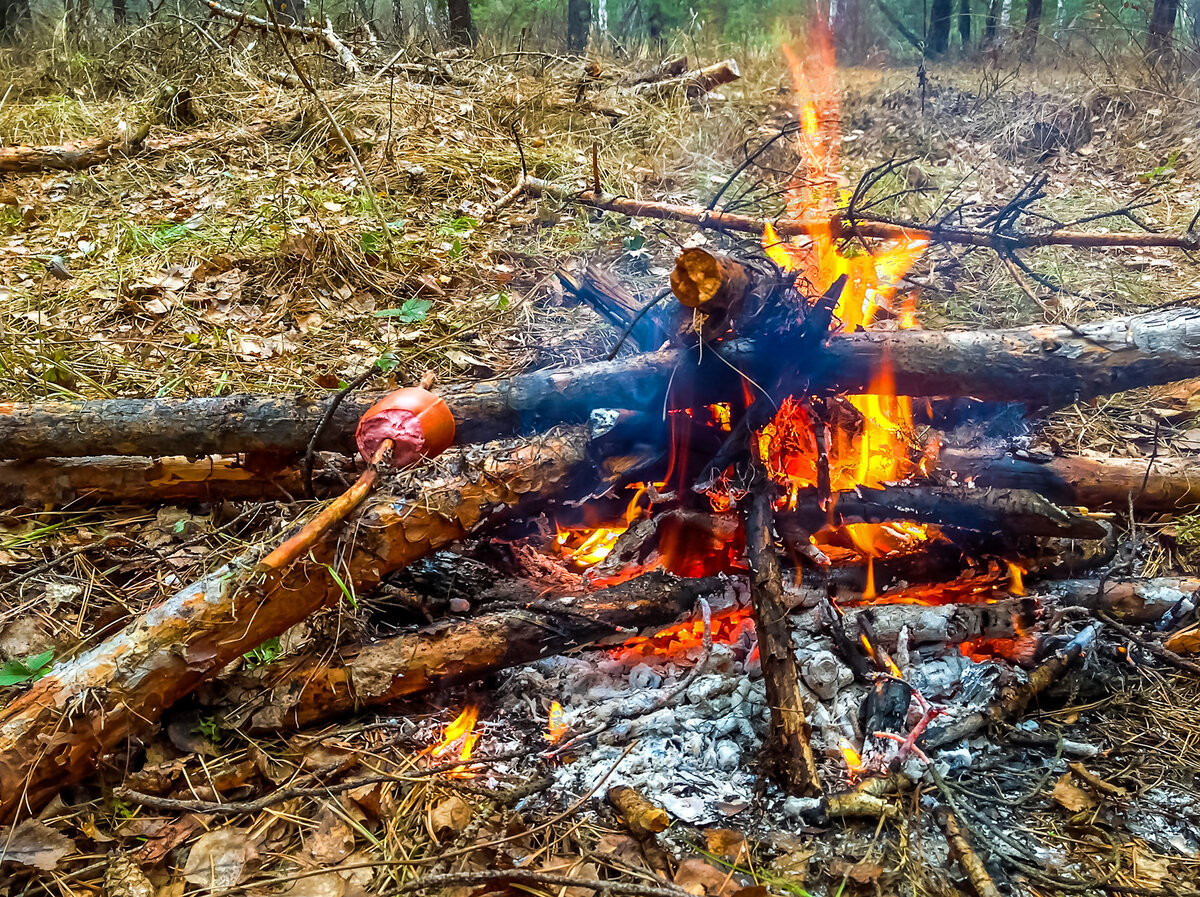 Разгорающийся костер. Пламенный костер. Горящий костер. Сгоревший костер. Сгоревший костер.