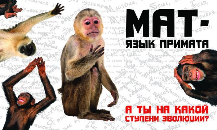 Мат - язык примата
