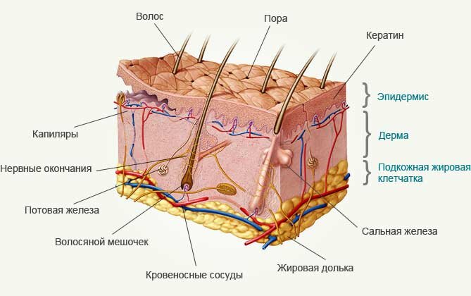 Вспомните, как человек разумный ("homo neglupicus":)) выбирает качественную зимнюю куртку: должна быть плотная непромокаемая ткань, теплый и лёгкий наполнитель, натуральная подкладка, возможность закрыть доступ воздуха снизу, сверху и т.п. 