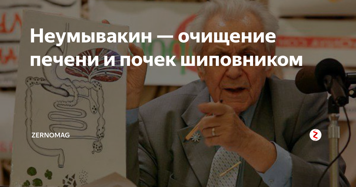 Неумывакин чистка. Неумывакин очищение печени. Чистка печени и почек по Неумывакину. Неумывакин печень. Чистка печени и почек профессор Неумывакин.