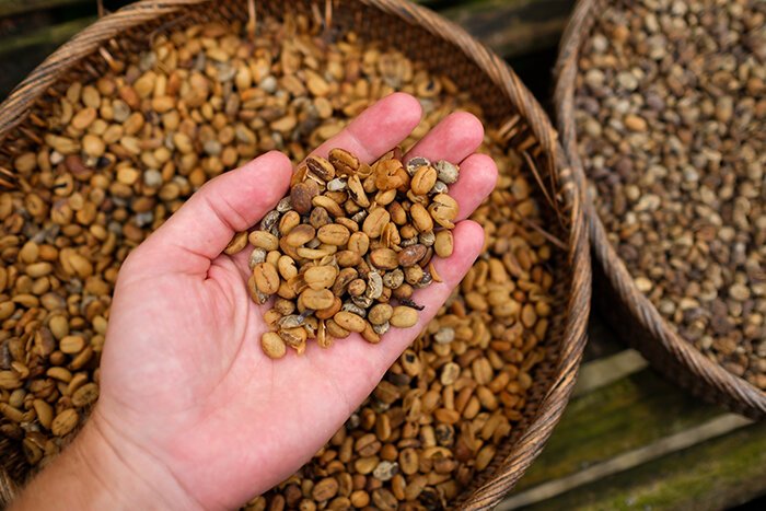 photo shutterstock koldunov ©