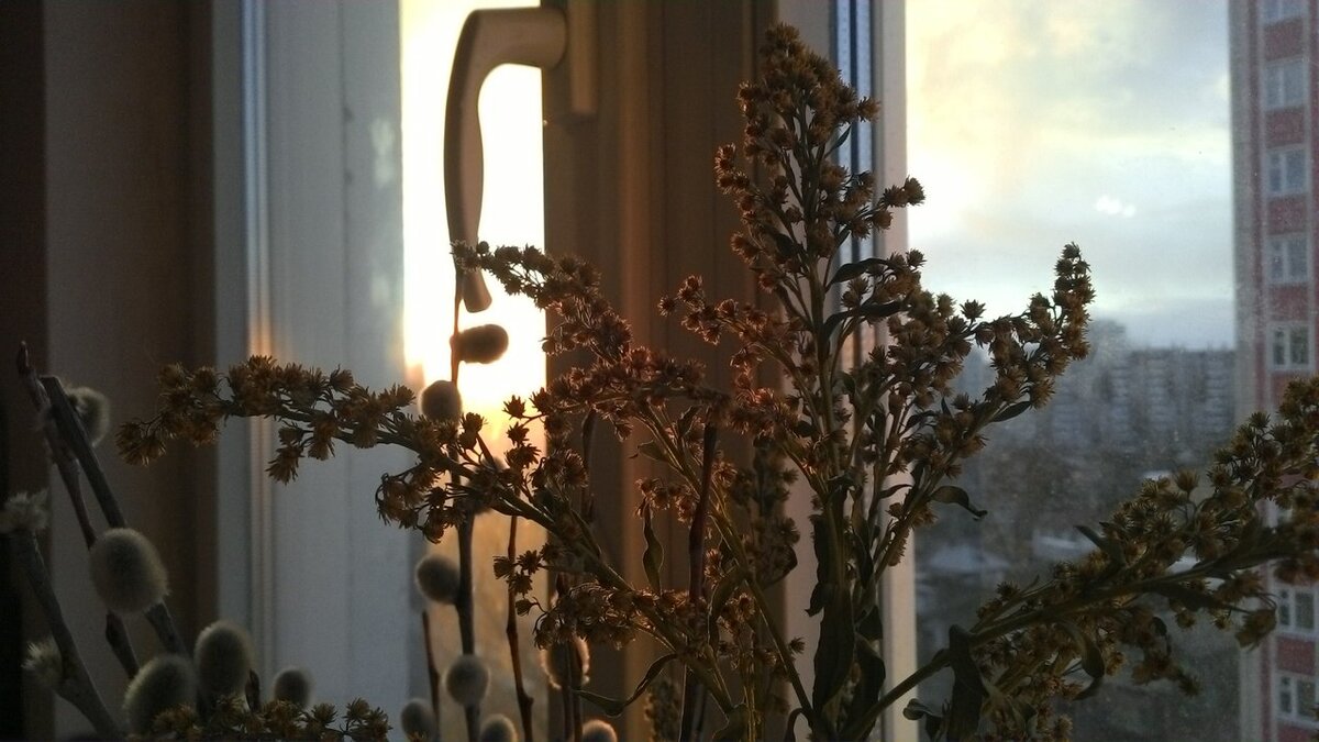 Те самые подоконник, ваза с вербой и золотарником, закатные лучи. Именно такие моменты вдохновляют меня