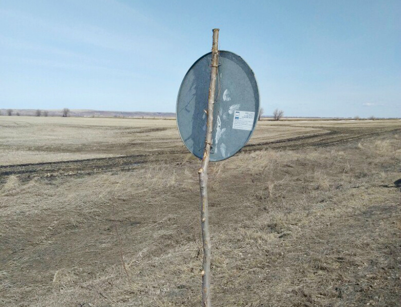 В Самарской области установили дорожные знаки на срубленных ветках