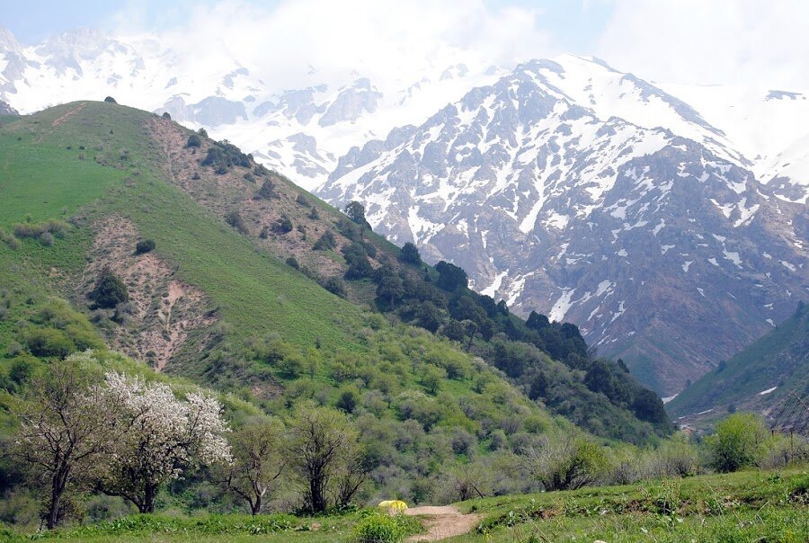 Горы в ташкенте фото