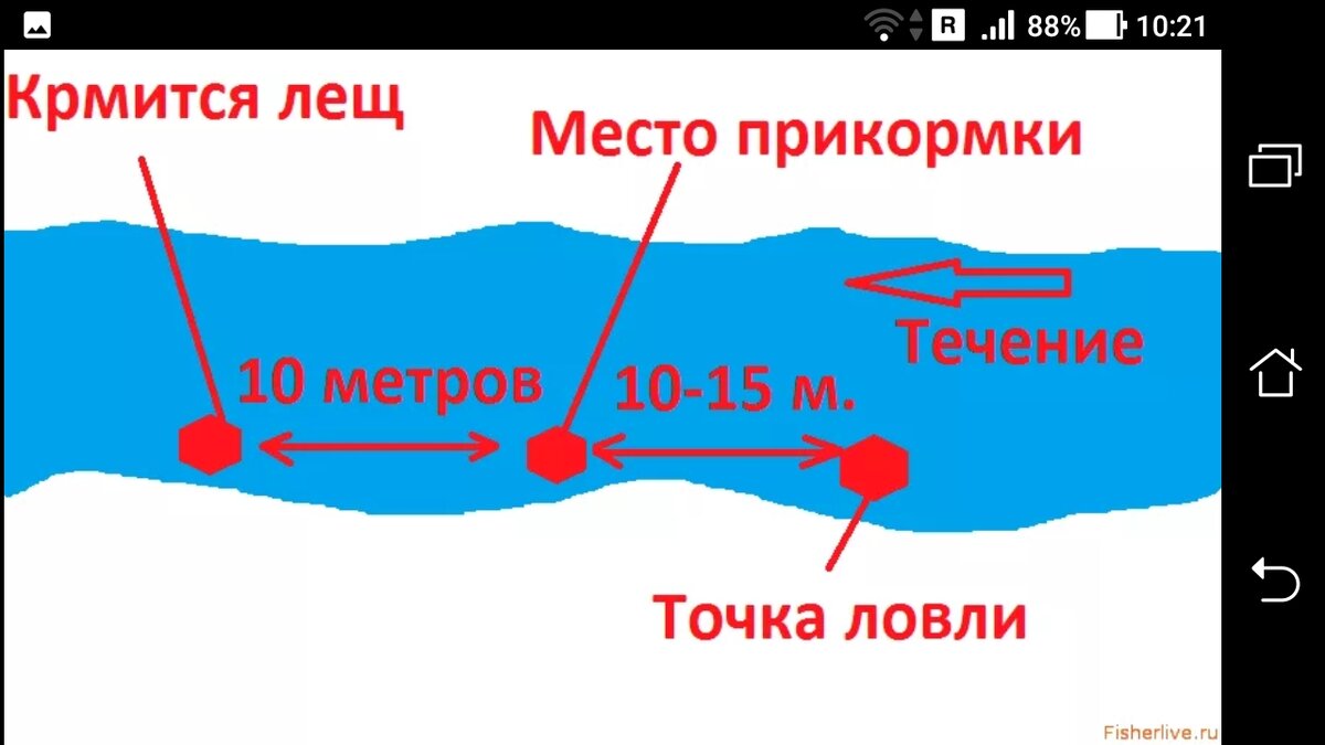 На что ловить леща на реке
