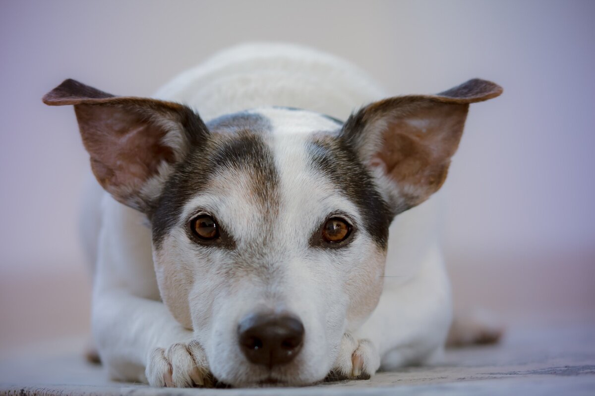 Изображение: pxhere.com