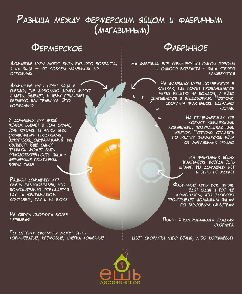 На каких картах какие яйца. Реклама яиц. Реклама яиц куриных. Состав куриного яйца. Реклама продажи домашних куриных яиц.