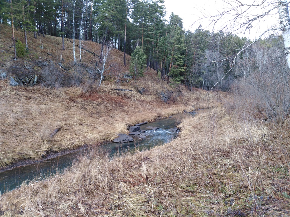 Еще зимой я обнаружил на советской карте это место,дорога, близость реки, все указывало на то, что в здесь была деревня. Нашел упоминания  о деревне и в книгах, называлась она Наплывская или Наплыв, упоминалась еще каким то немецким путешественником еще в 1740. Весной решено было идти в эту деревню. 