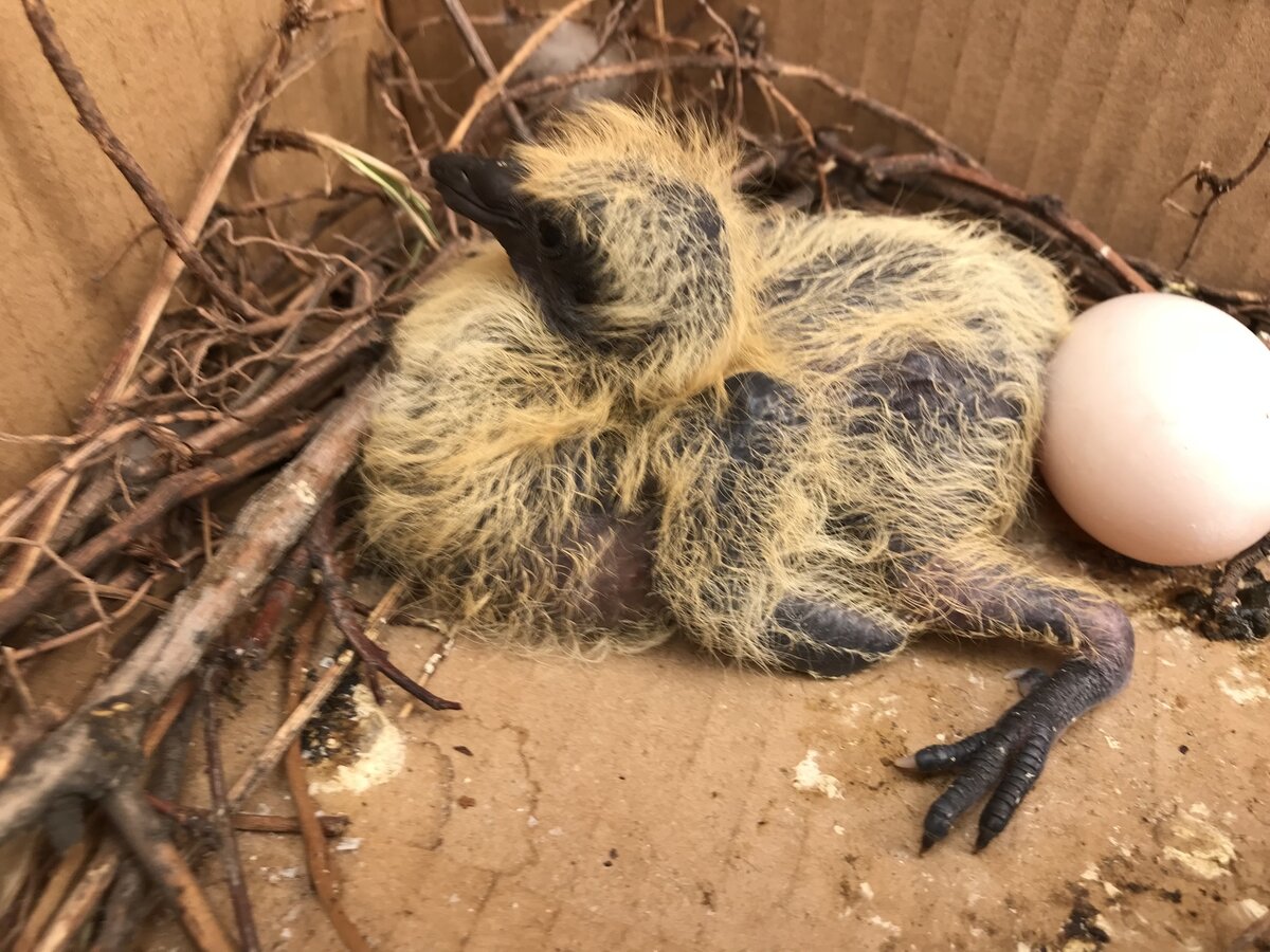 Фото: pikabu.ru/@sashastatic