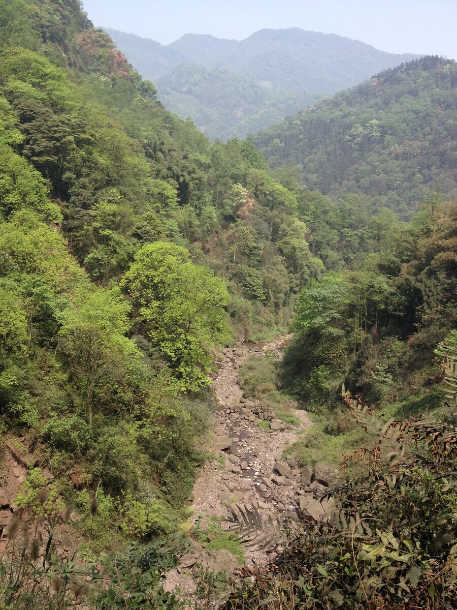 В Эмэйшань и сейчас есть немноголюдные места...