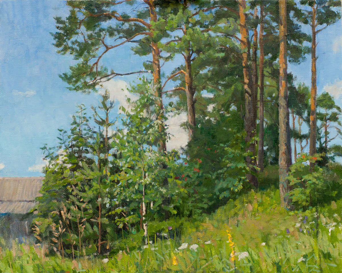 "Опушка", 40х50, холст/масло. Автор: Дарья Киселева
