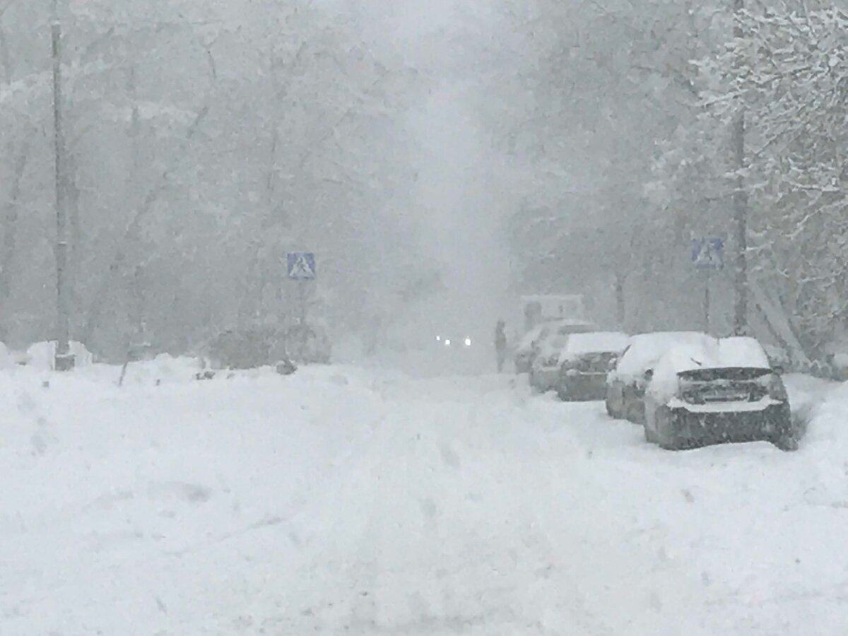 Фото ТриБолта