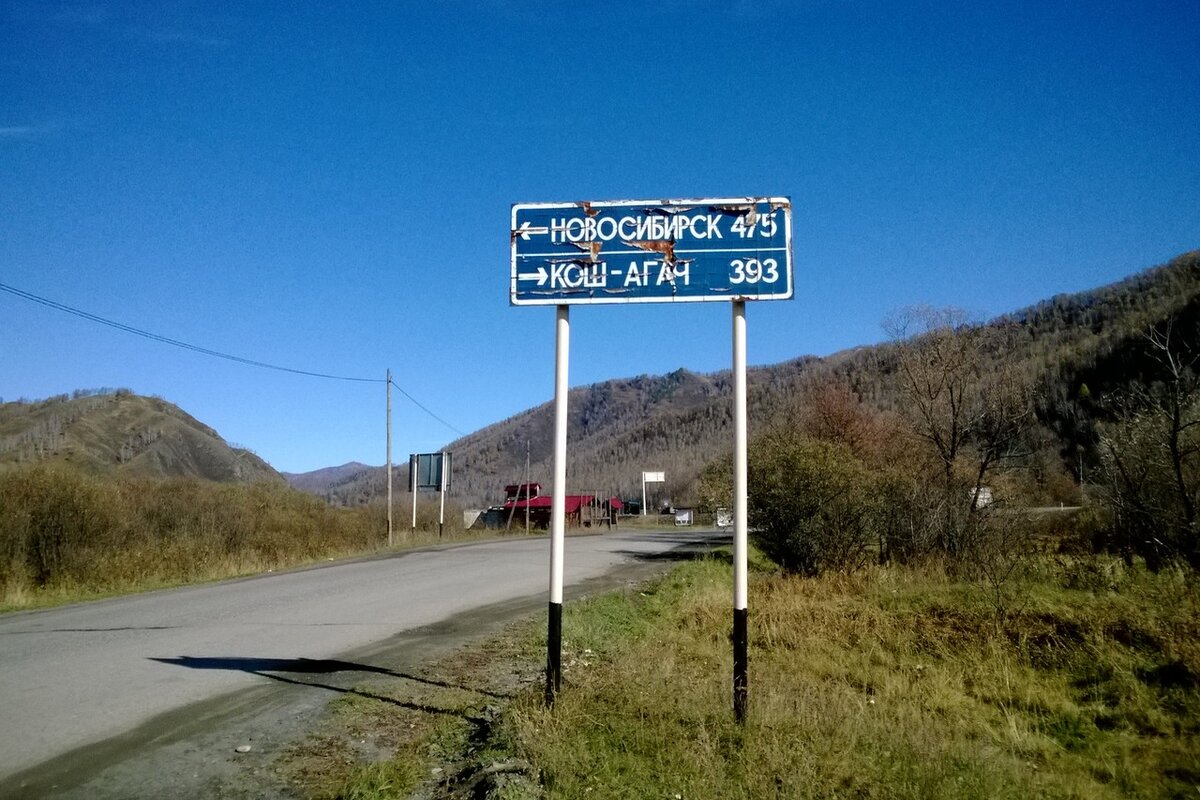 Фото автора.