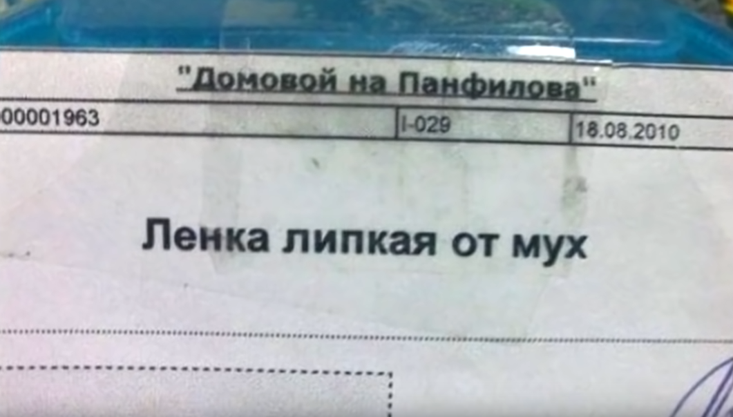 Шла ленка. Про ленку прикольные. Ленка приколы. Ленка прикольные картинки. Цитаты смешные про ленку.