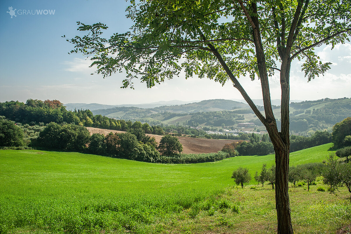 Фото: Надежда Грауберг