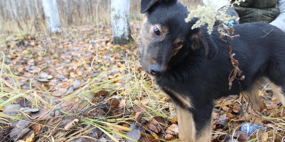 Мой маленький принц Маркус