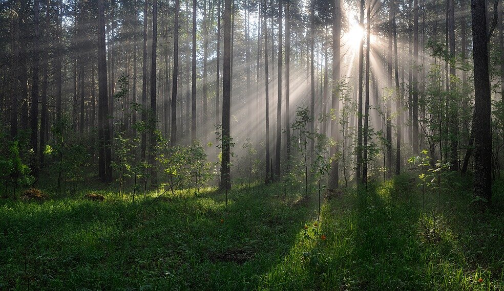 фото Сергея Усика