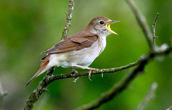 Источник фото: ruclip.com