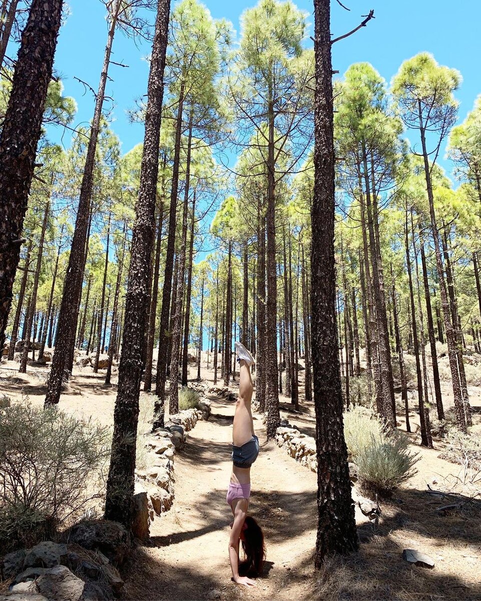 
Ровная стойка на руках требует укоренения и крепости свойственного дереву🙂 Ну правда, иначе падение неизбежно.
⠀
Дерево держится за счёт крепости КОРней, а стойка на руках во многом за счёт крепости КОРа. Вот така ассоциация возникла😁
⠀
Кор или мышечный корсет - это ядро, центр тяжести. Если назвать комплексно, то это мышцы спины, живота, таза и бёдер, задача которых состоит в стабилизации позвоночника, и соответственно таза и бедер.
⠀
Укрепление кора это первое чему стоит уделять внимание при знакомстве с физическими нагрузками. Это ваша защита.
⠀
Дальше прикрепила картинки для демонстрации мышц кора и мышц, которые включены при фиксации стойки на руках.