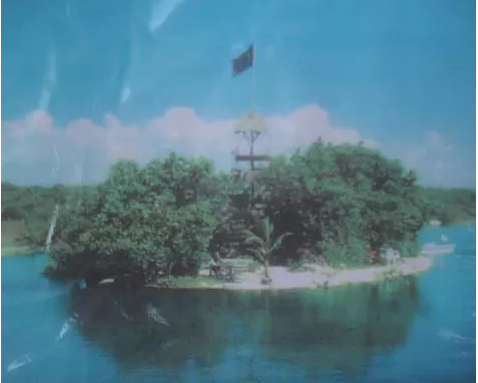 Фото взято с сайта https://joysxee.wixsite.com