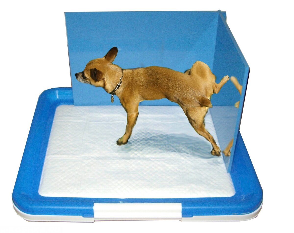 Фото: mikoshka.ru