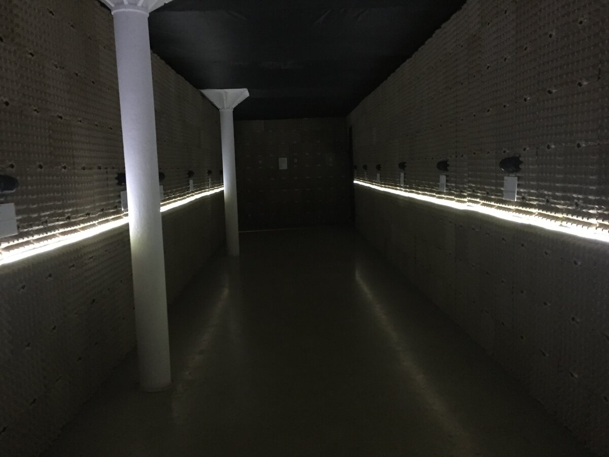 Аудиоинсталляция по мотивам Василиска Гнедова. Коллектив авторов. 