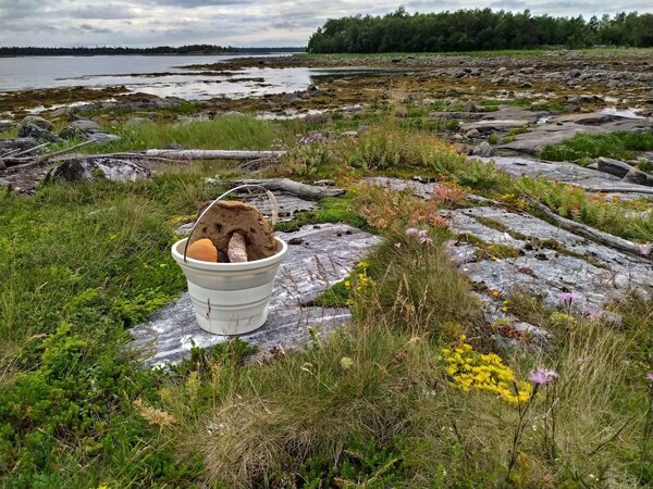 Кандалакшская губа Белого моря: няша, гигантские грибы и уединенность