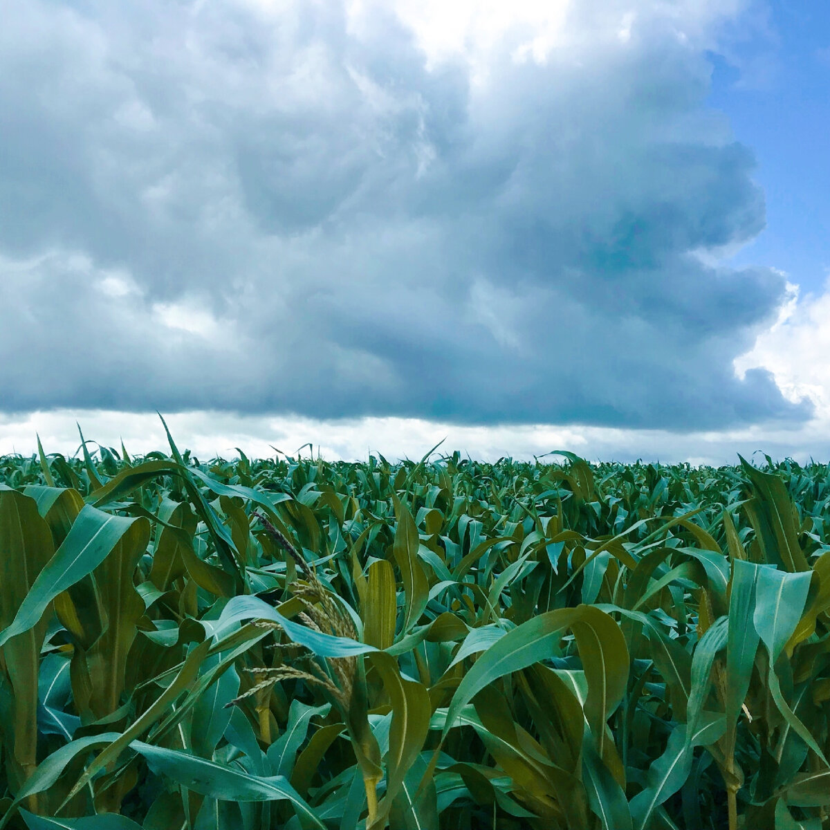 Фото личное