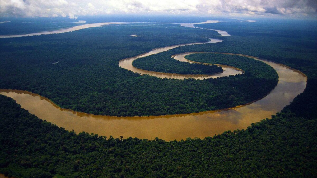 Бассейн Амазонки 