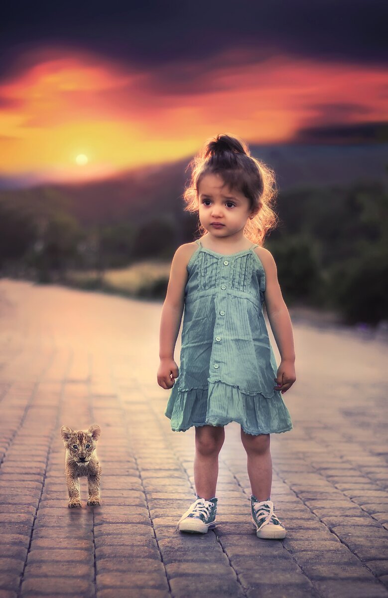 https://www.pexels.com/ru-ru/photo/36483/