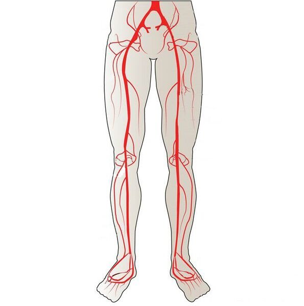 источник яндекс картинки