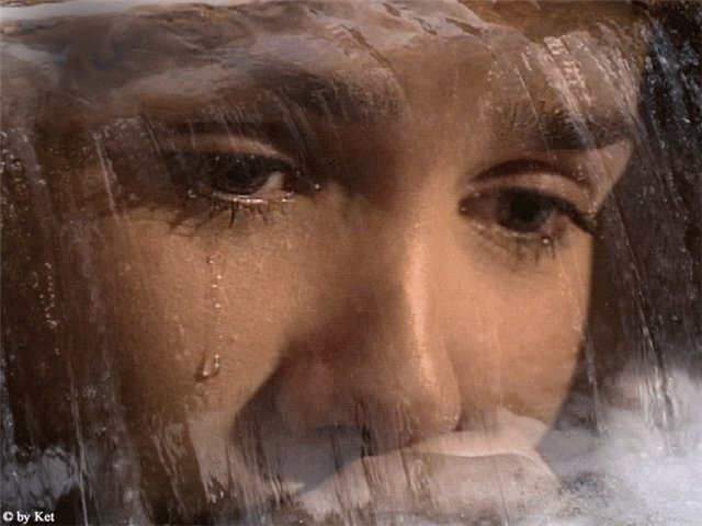 Фото из свободных источников