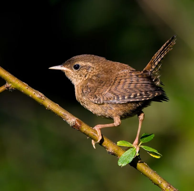 Источник: Яндекс.Картинки
