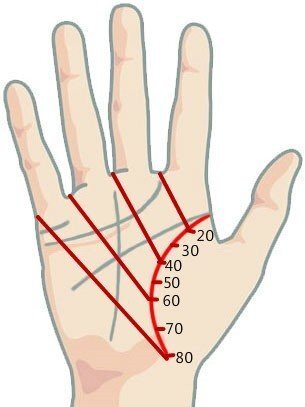 Линия жизни на руке: что означает и как правильно прочесть