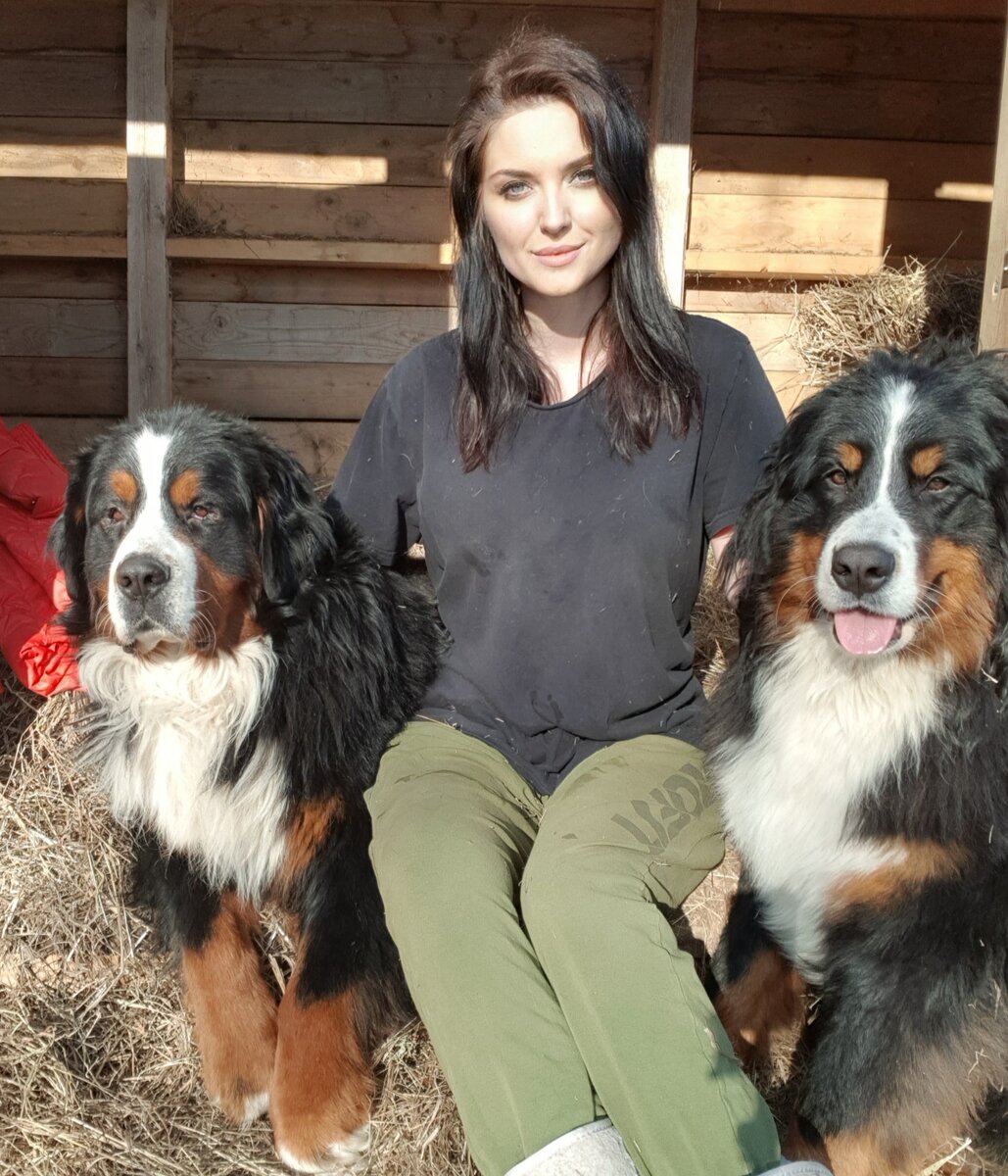 автор блога и собаки