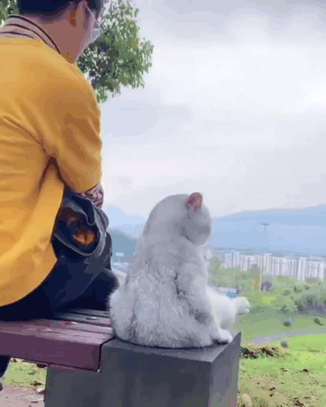 Жми на картинку, чтобы посмотреть видео. Источник: Одноклассники